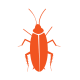 cockroach-control