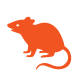 rodent-control